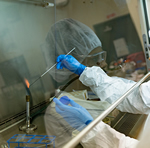 Image of Flame and Bunsen Burner Image of Flame and Bunsen Burner