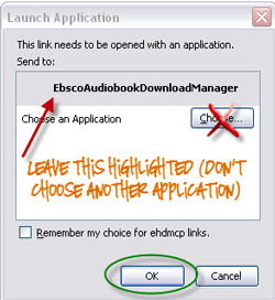 screenshot: installation of Download Manager