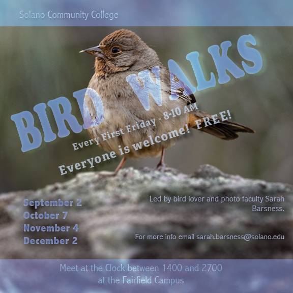 Bird walks every first Friday from 8-10am. Everyone is welcome! 