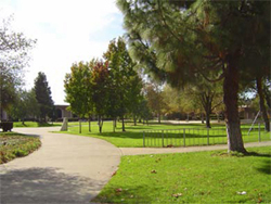 Campus Path