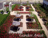 Photo: Garden Areas