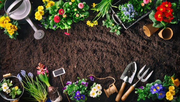 A patch of dirt with gardening tools and flowers on the top and bottom