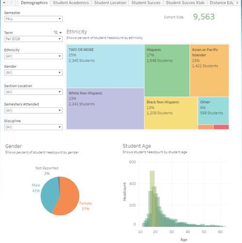 Image of demographics tab in interactive workbook
